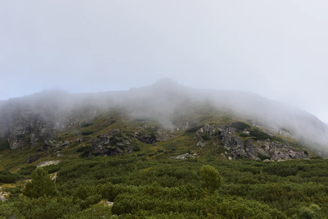 DSC_0311.jpg