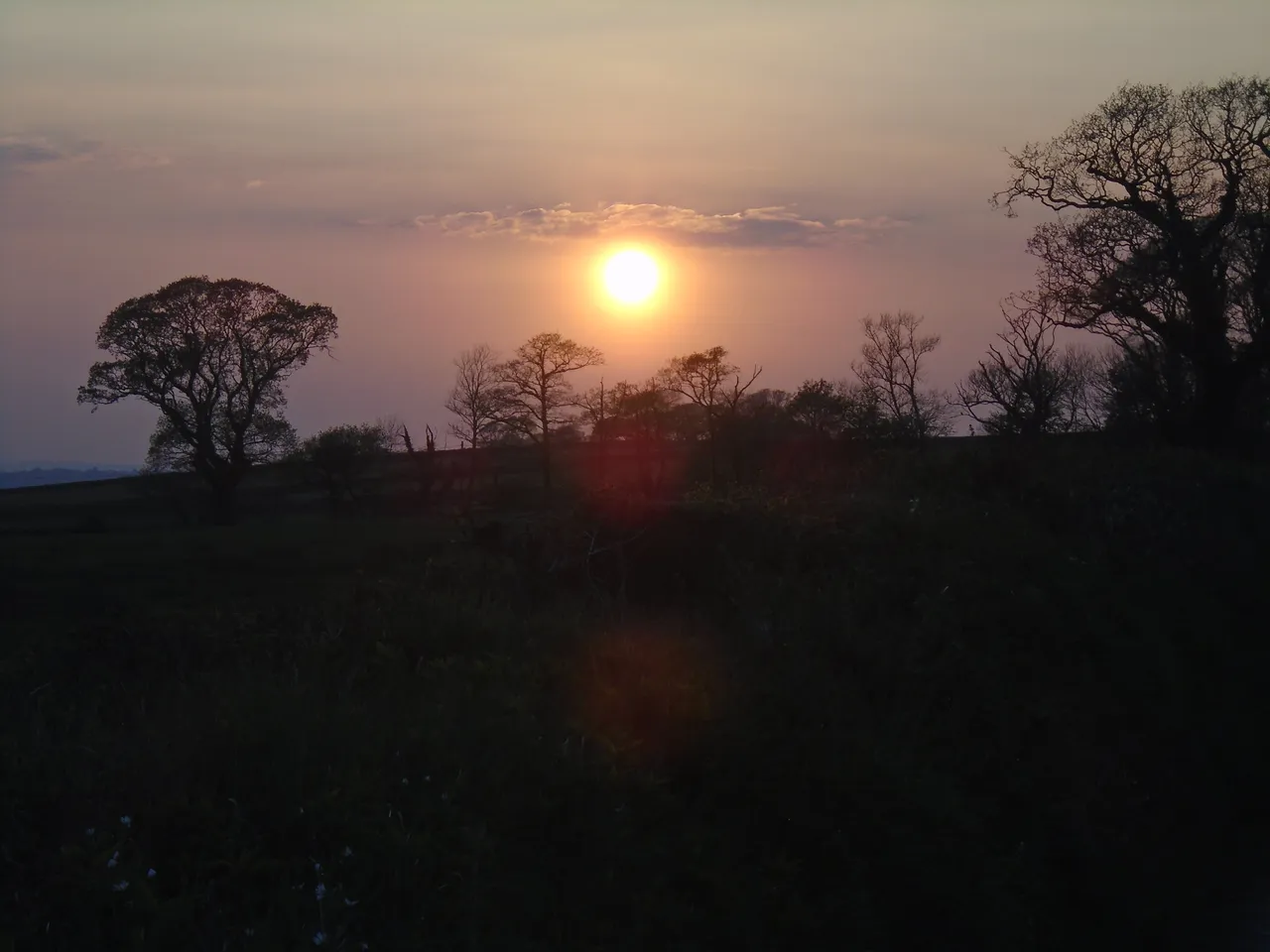 DSC09361.JPG