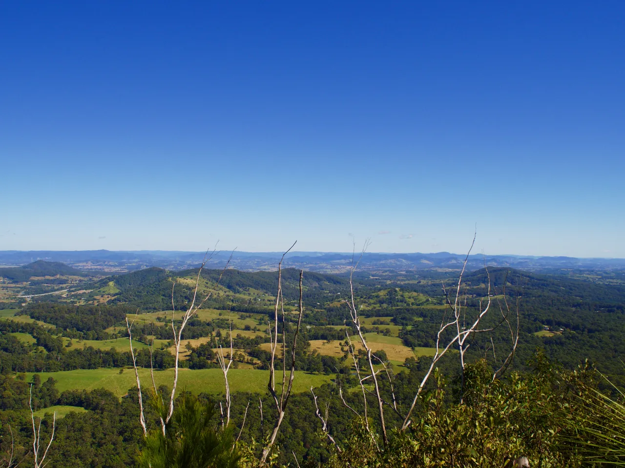 P5203229.jpg