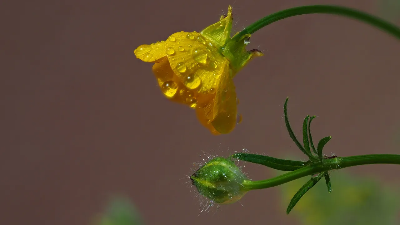 P5270689.JPG