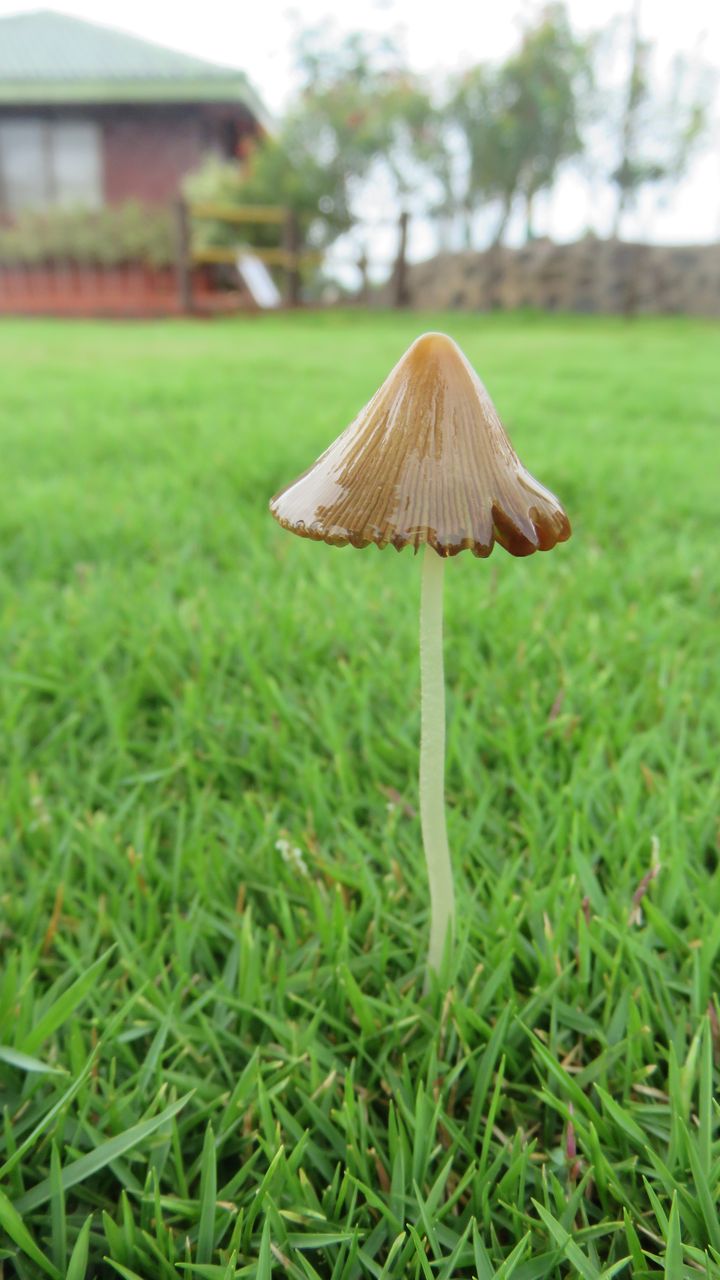 IMG_7081.JPG