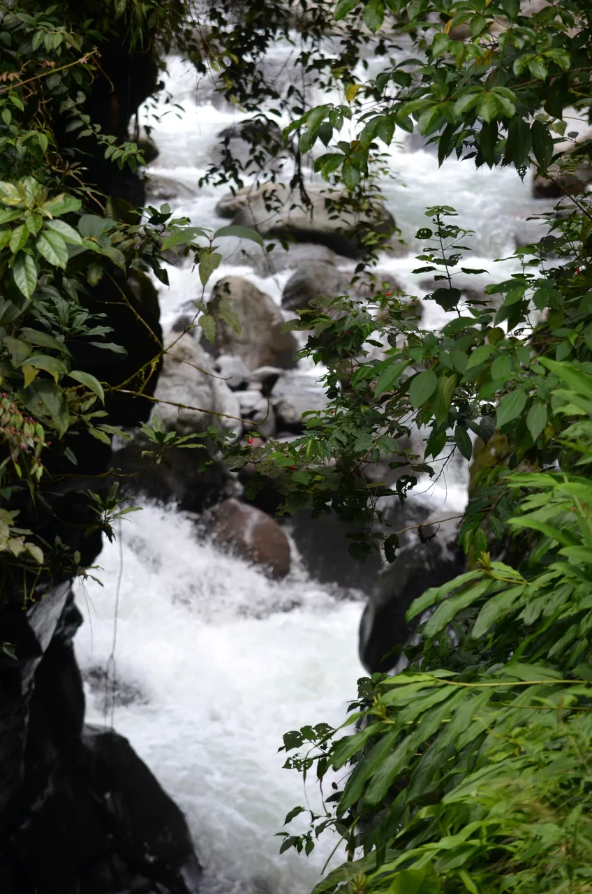 DSC_0240.jpg
