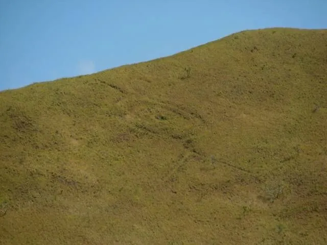 geoglifo.jpg