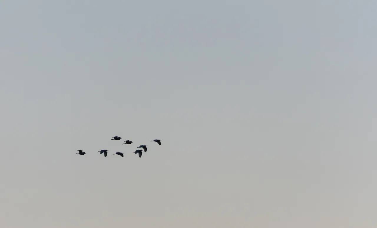 DSC_0028.jpg