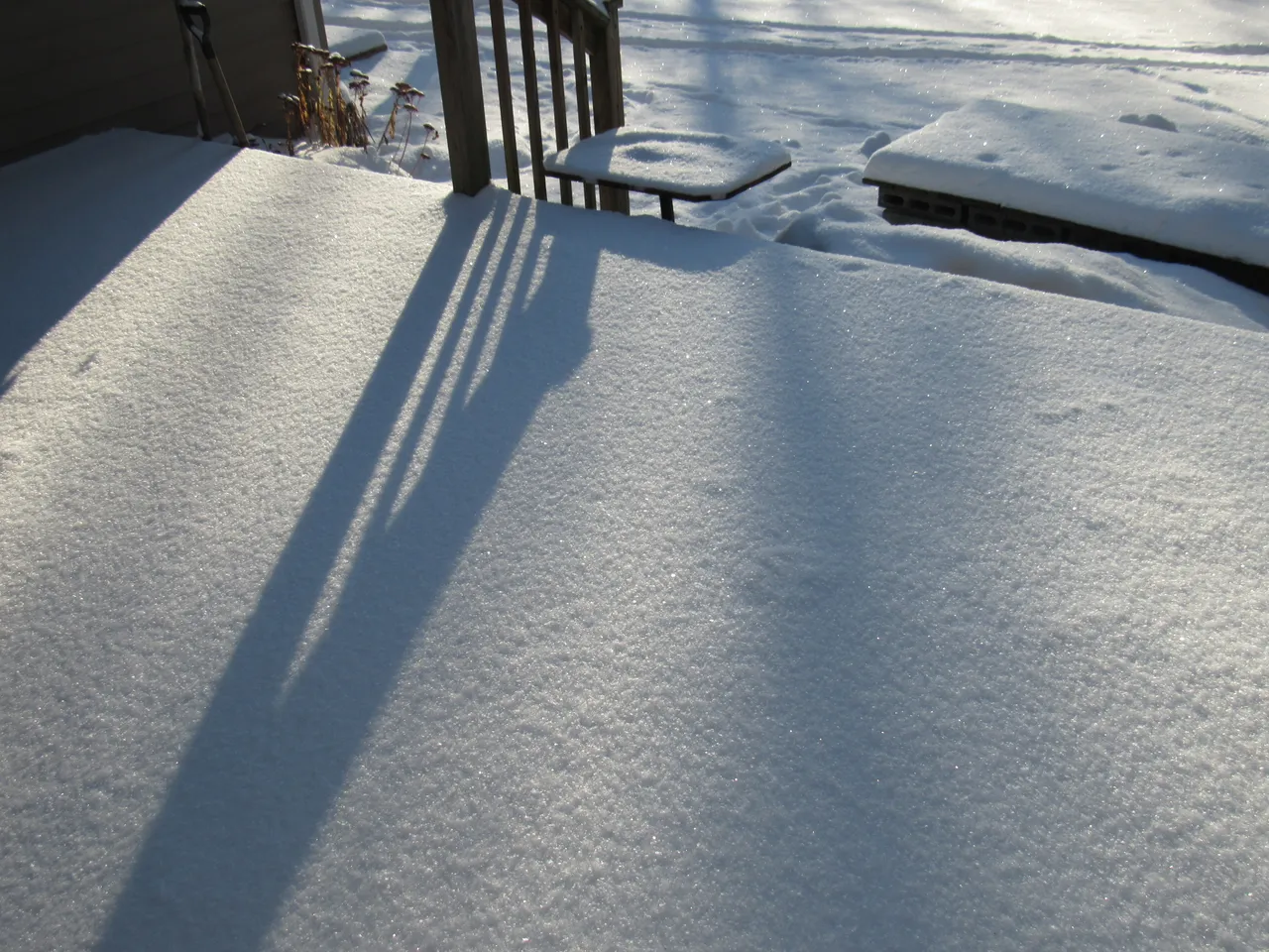 IMG_8716.JPG