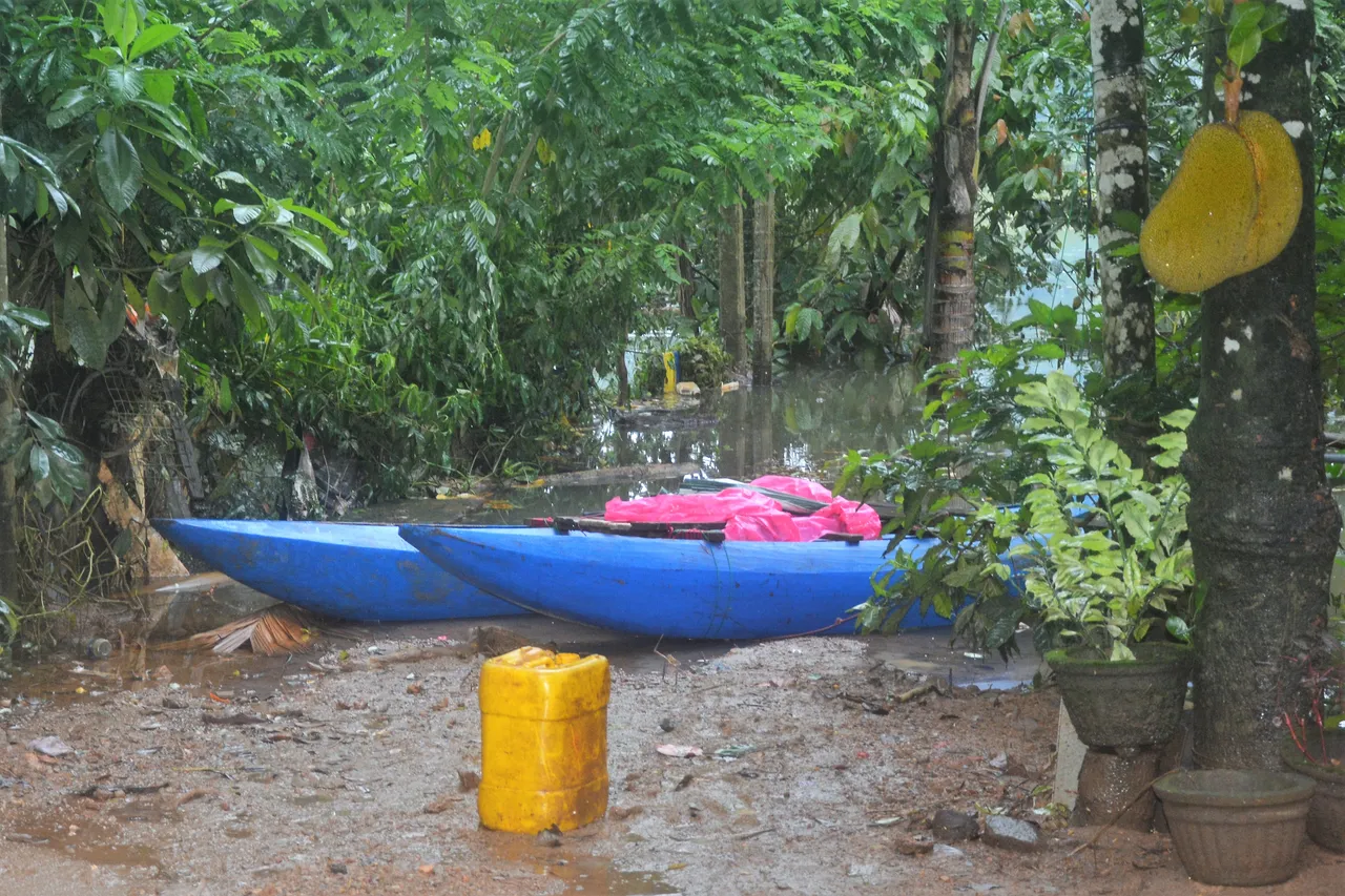 DSC_7199.JPG