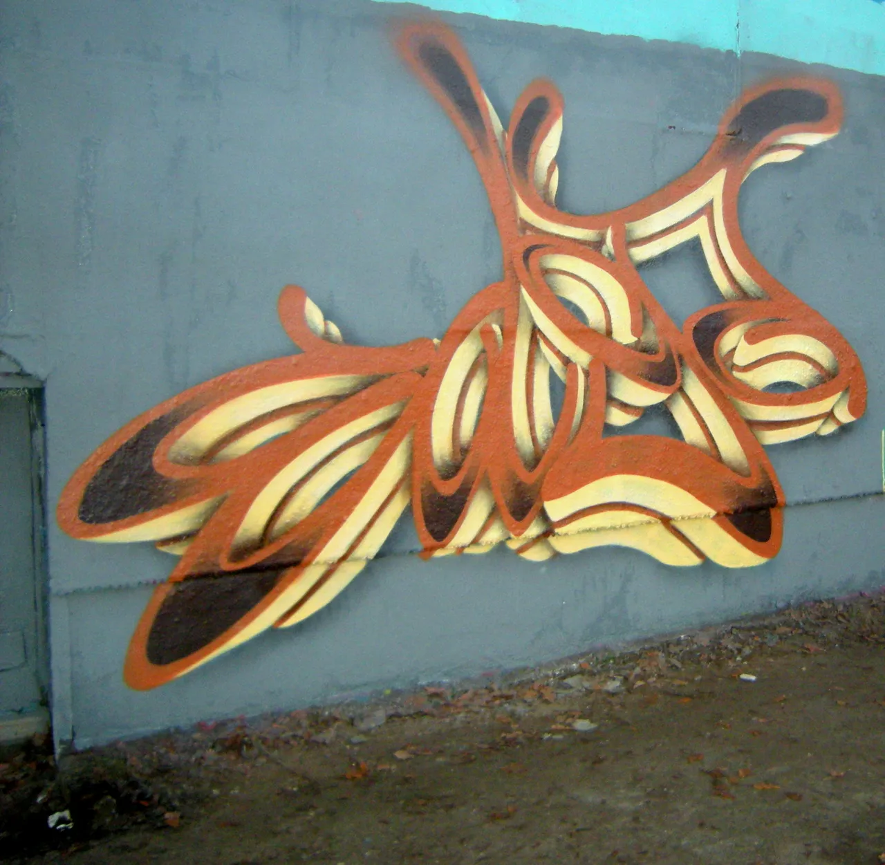 DSCN0203.JPG