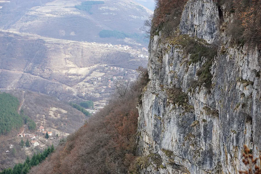 Bov_09_s.jpg