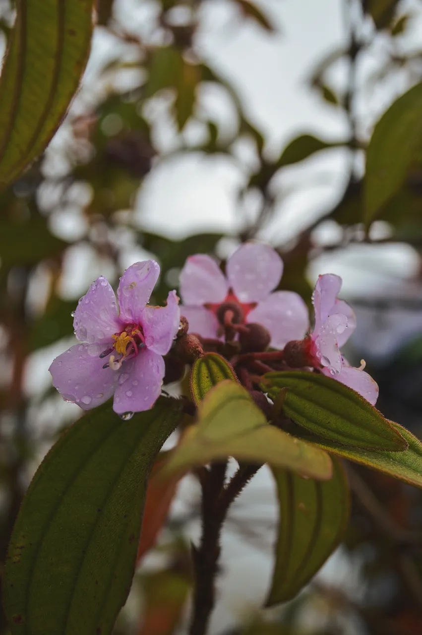 DSC_0024.jpg