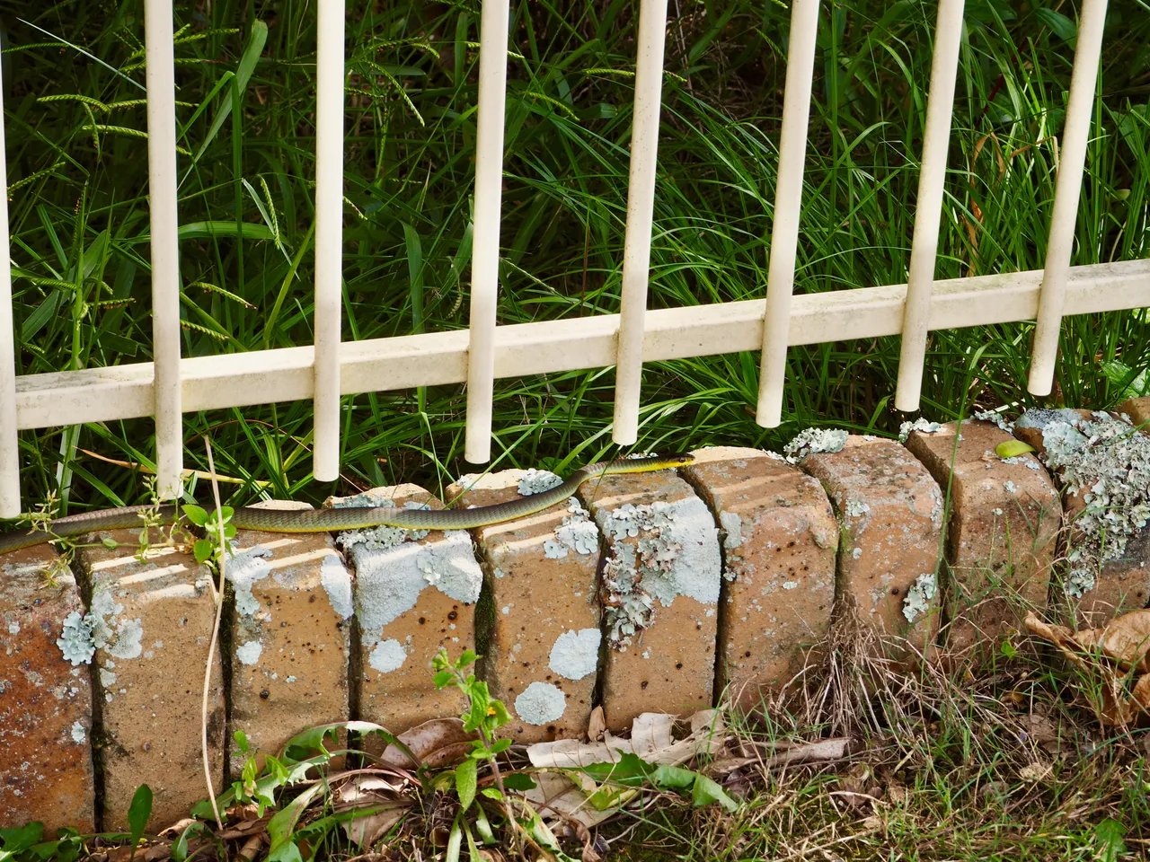 PC231443.jpg