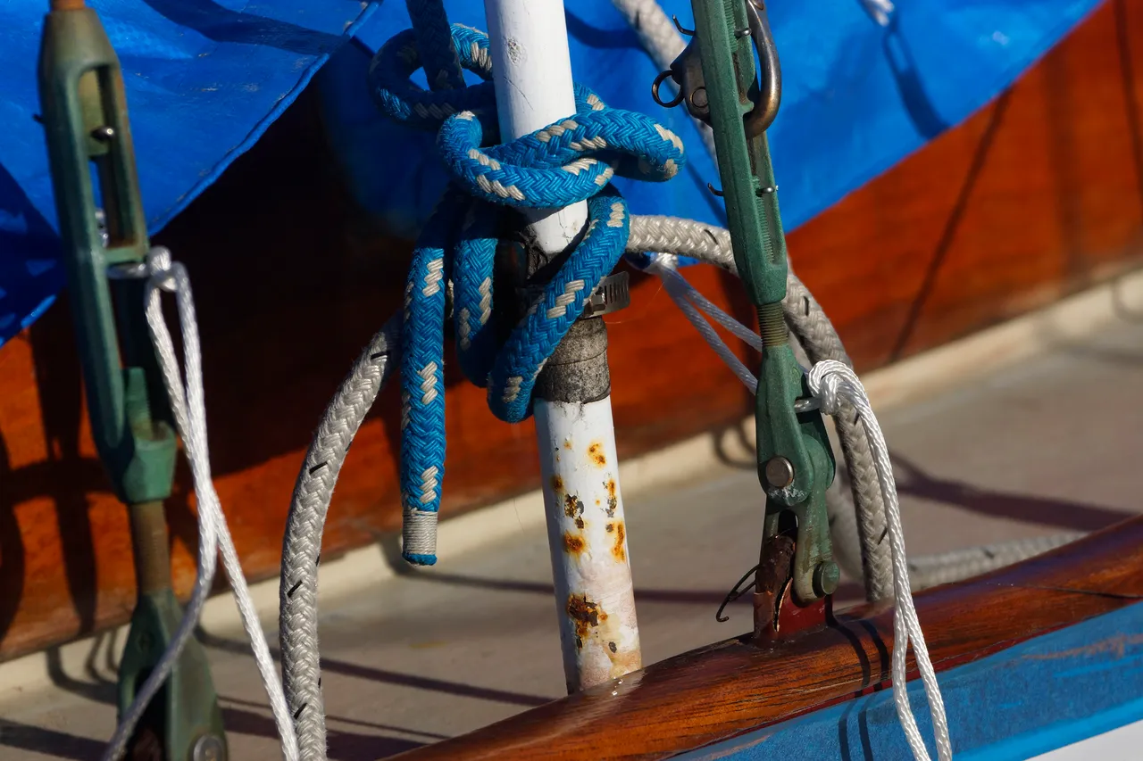 _DSC8553.JPG