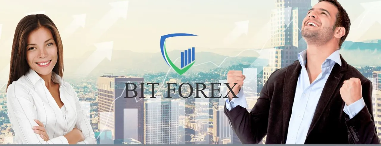 bitforex.JPG