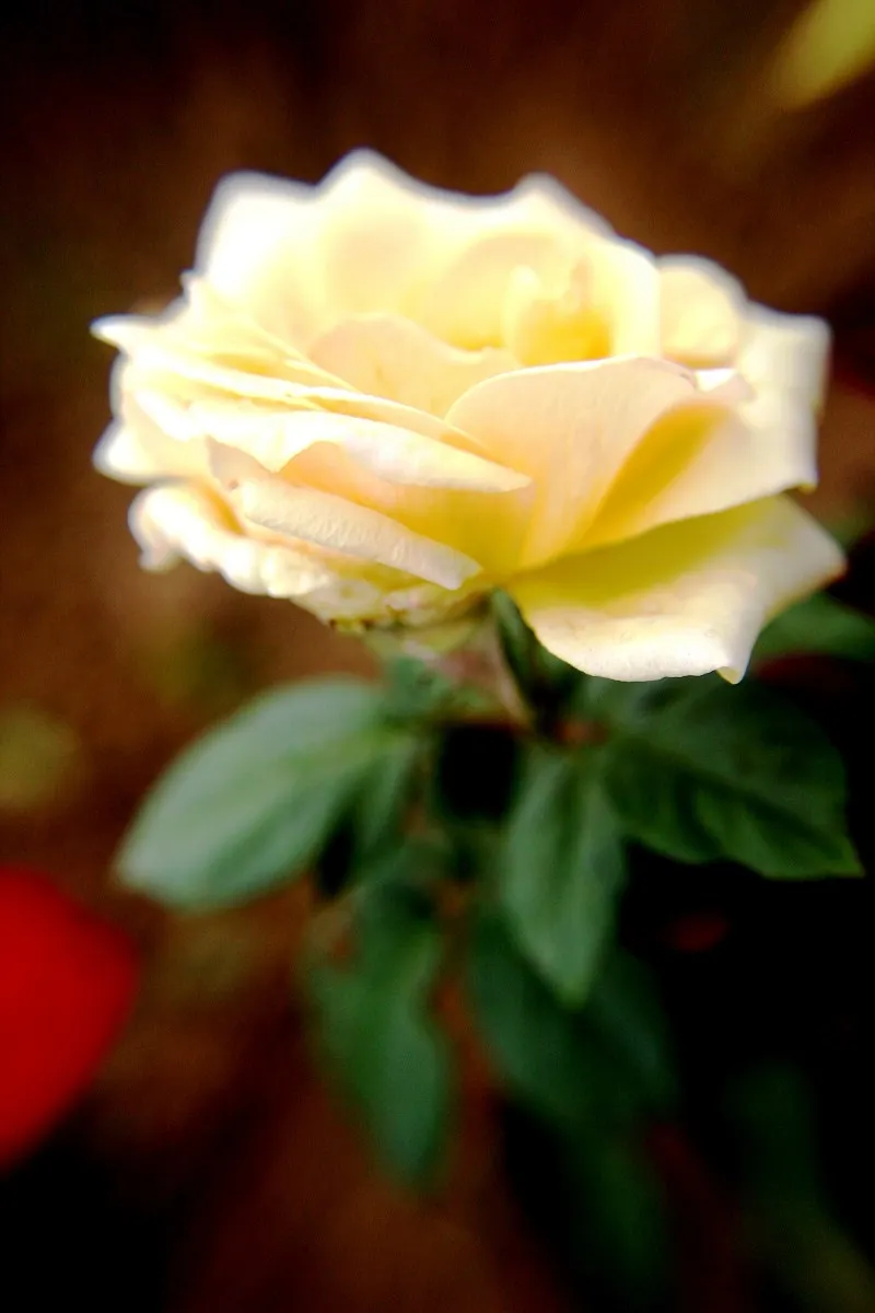 IMG_2687.JPG