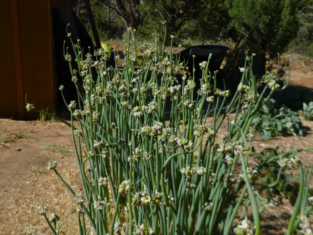 P1020329.JPG