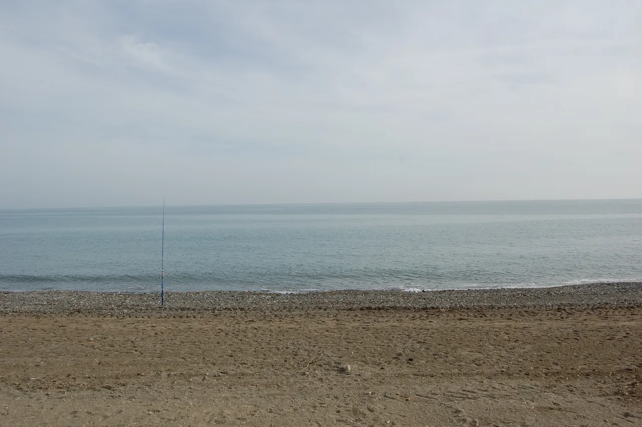 DSC_0154.JPG