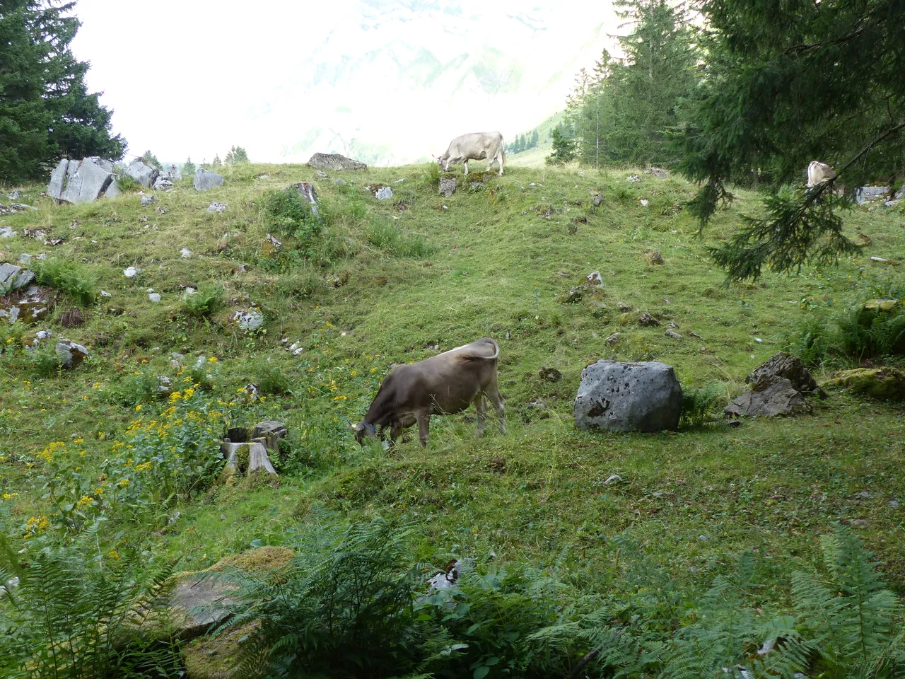 P1010157.JPG