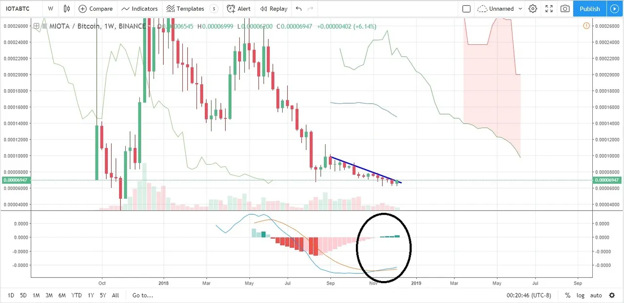 iota w.jpg