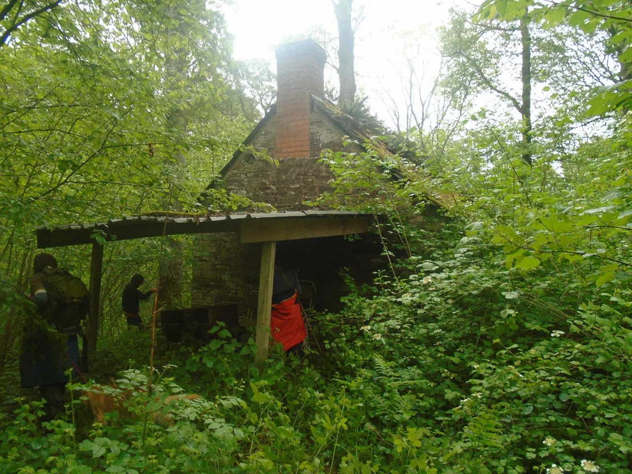 DSC09535.JPG