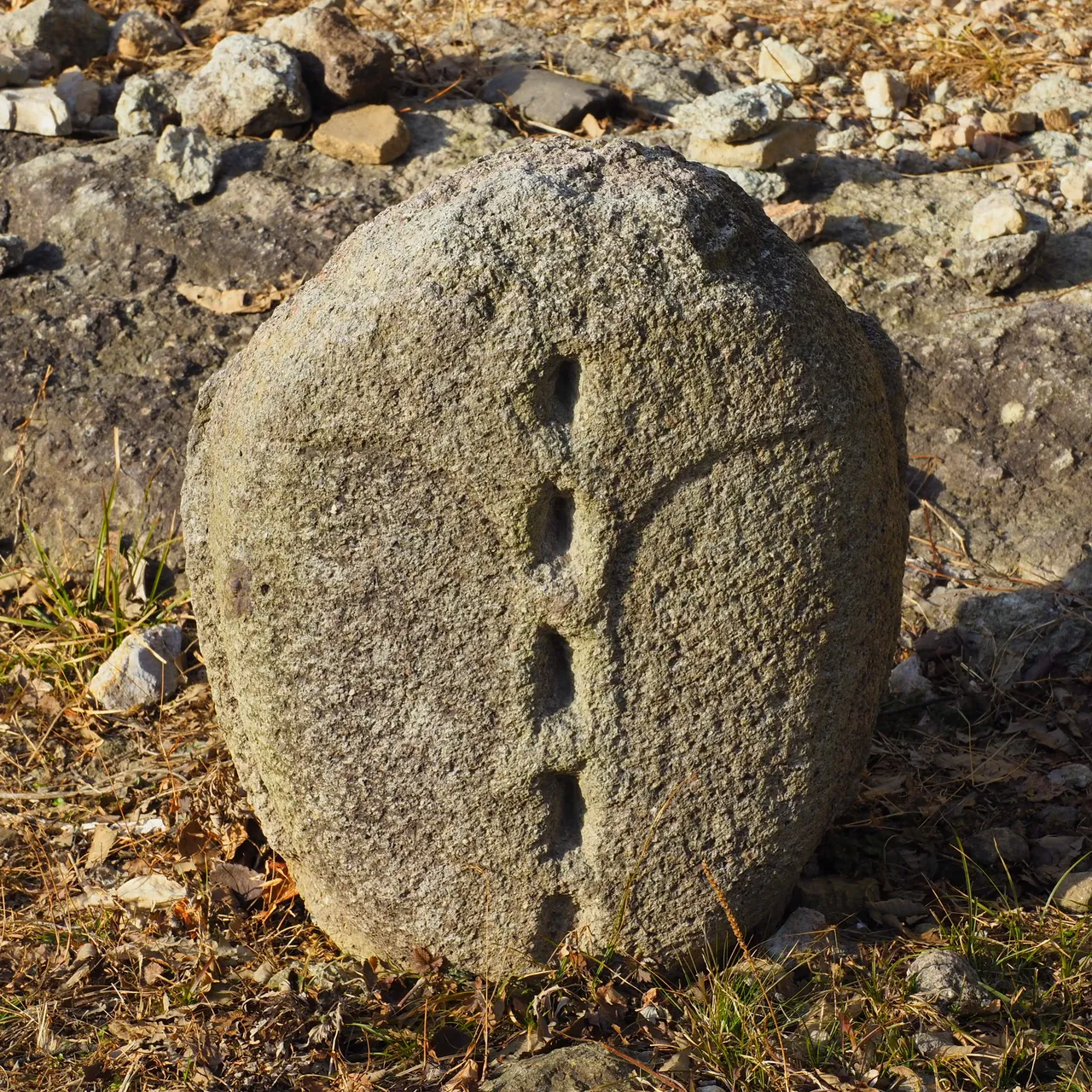 _2080166.JPG