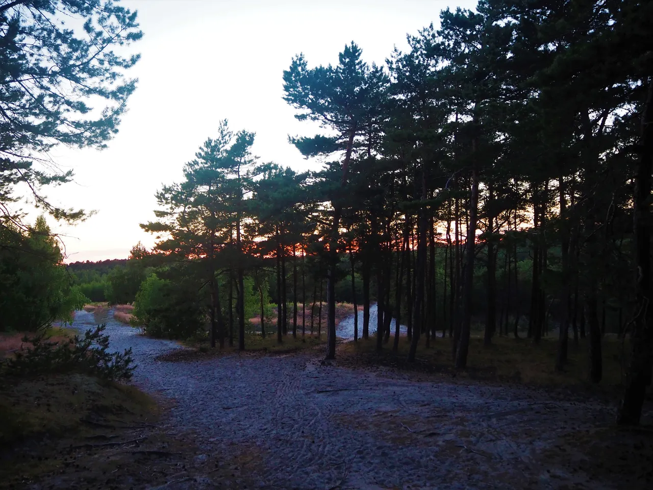 P6280427.JPG