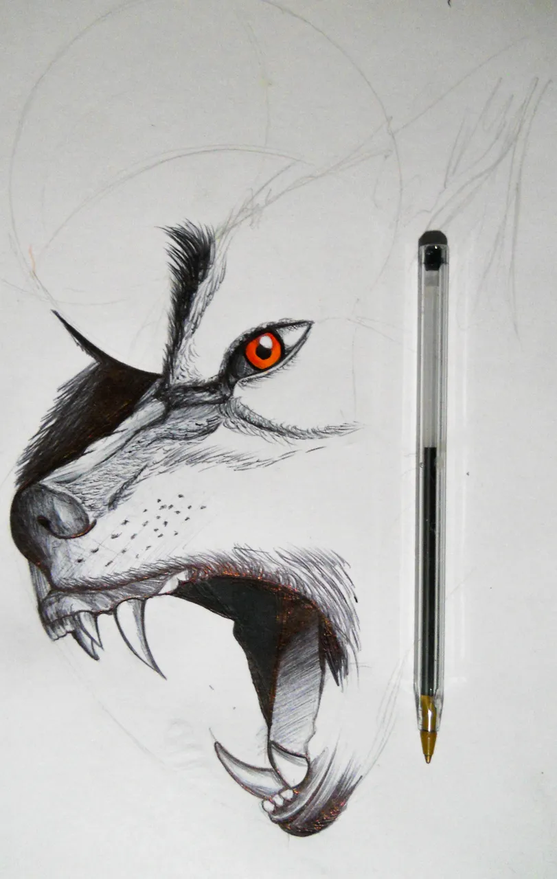 proceso3.jpg