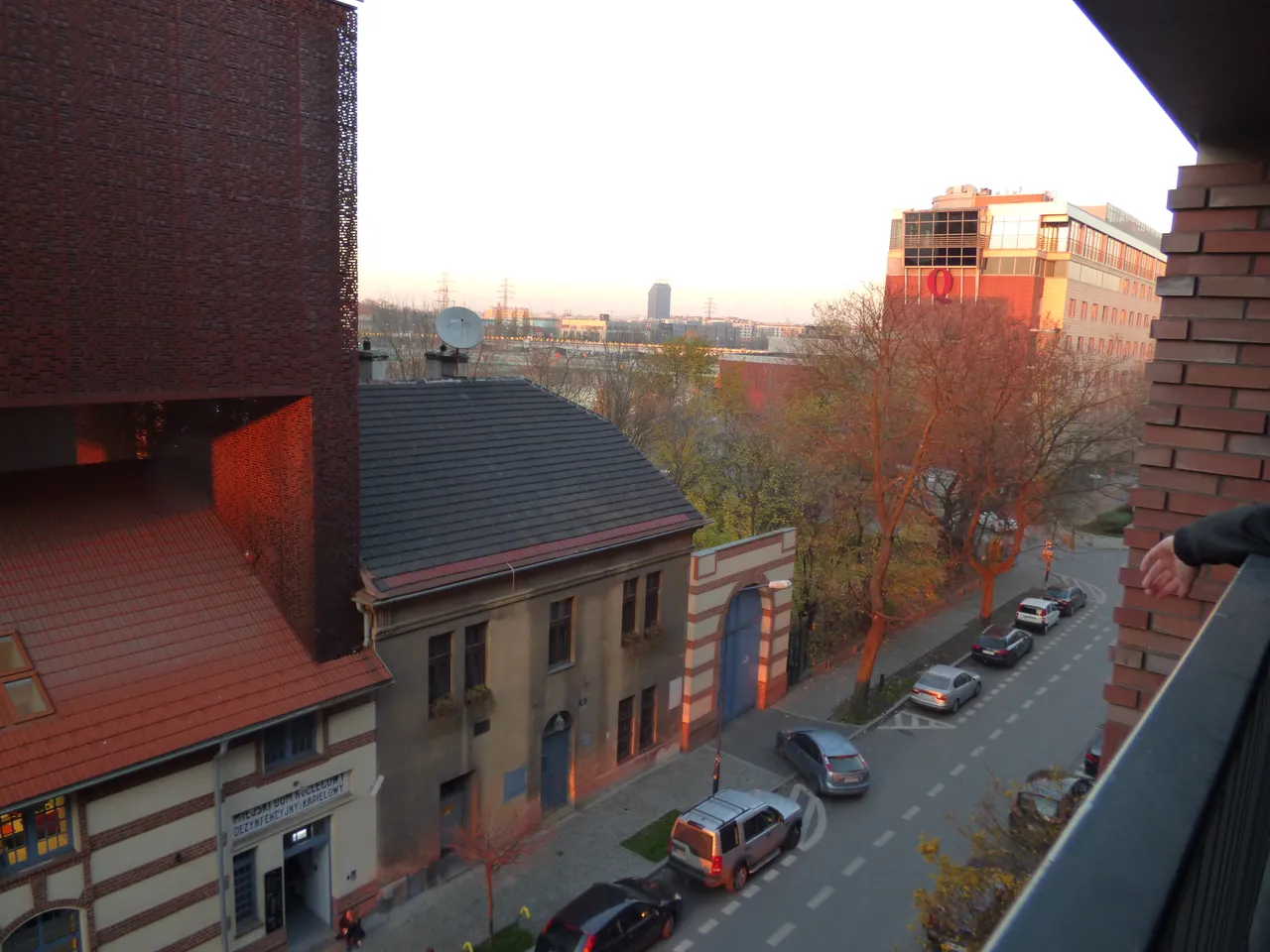 P1000039.JPG