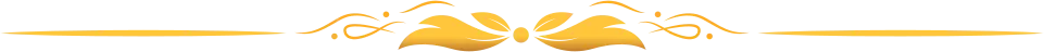 04_linha.png