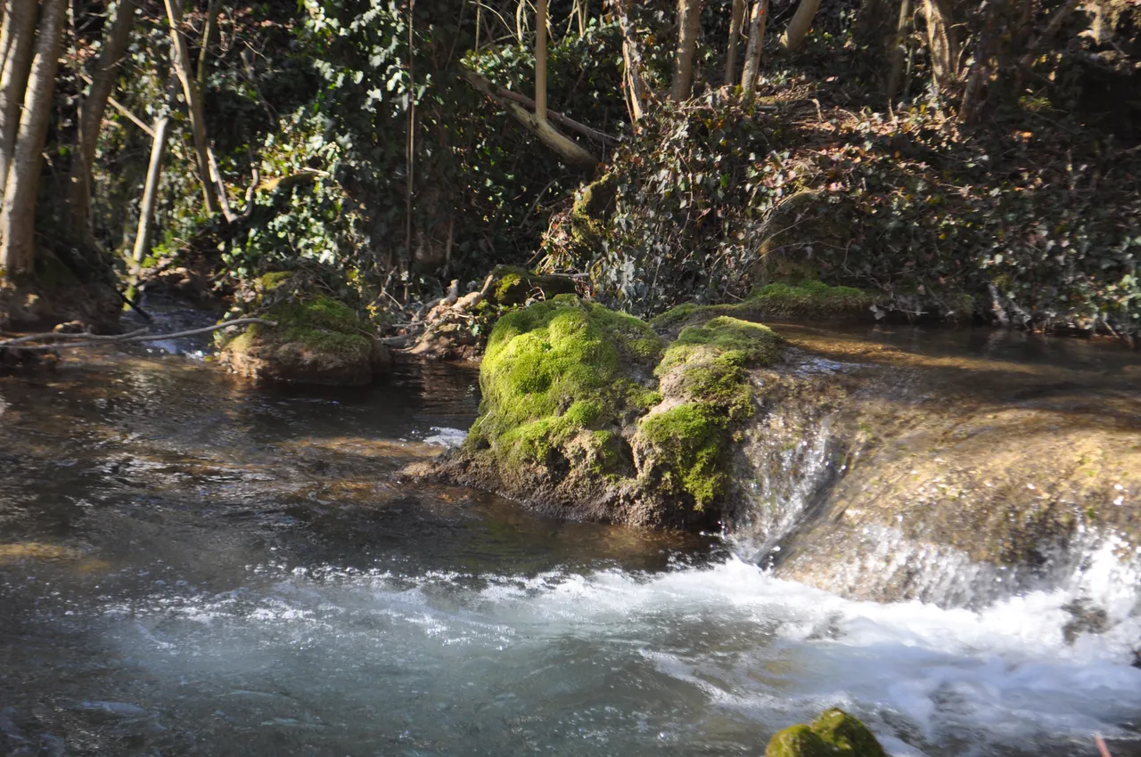 DSC_0174.JPG
