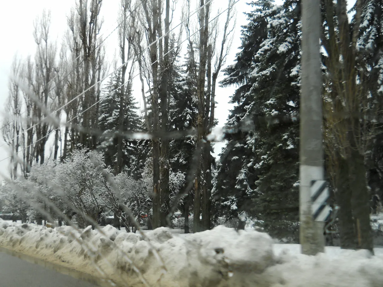 DSCN0009.JPG