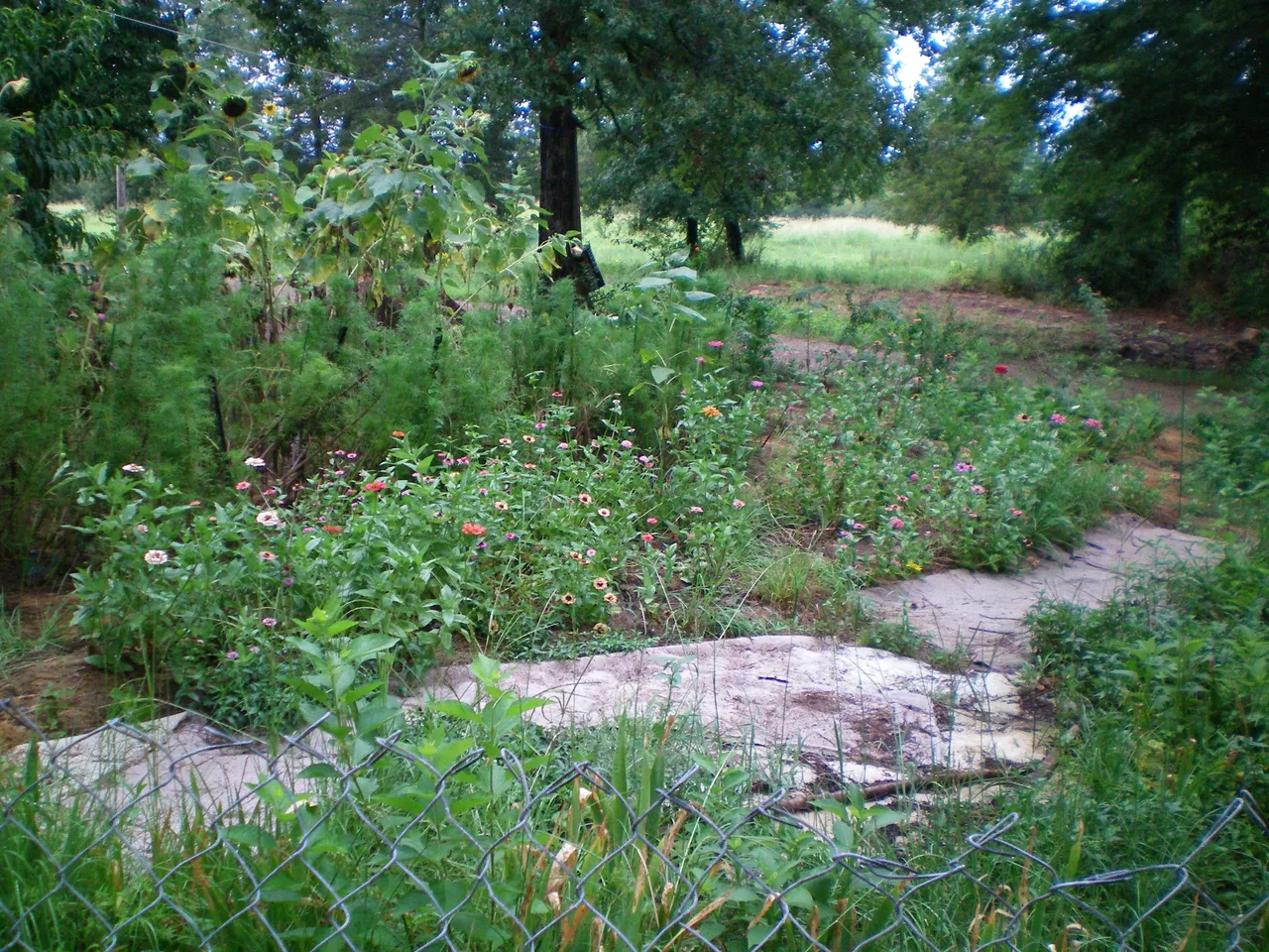 100_0018.JPG