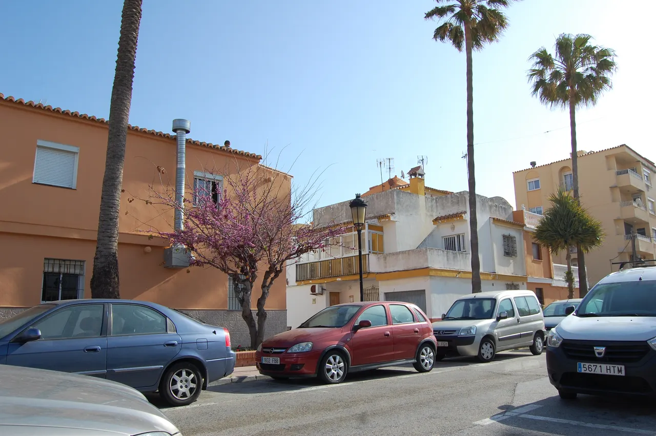DSC_0240.JPG