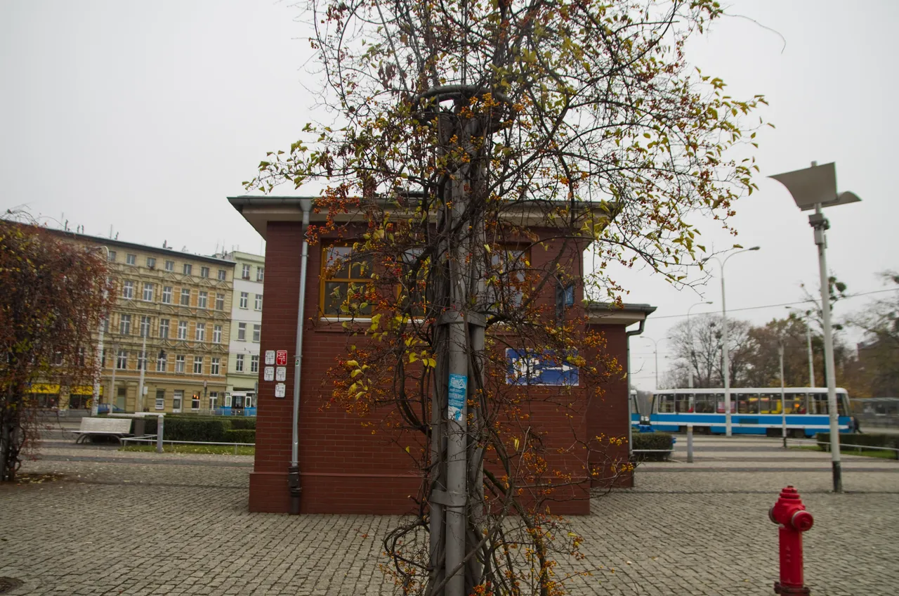 IMGP3583.JPG