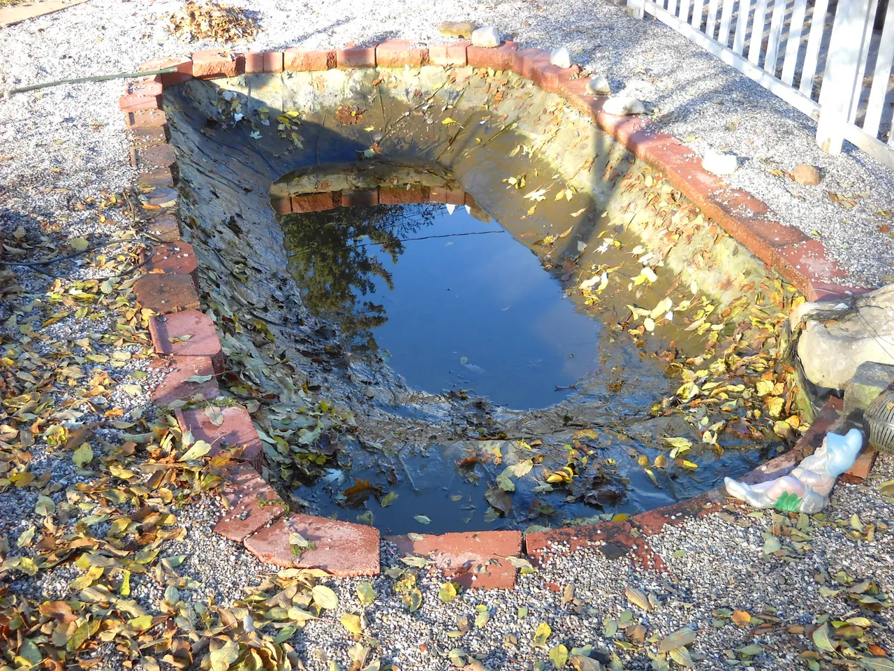 DSCN0186.JPG