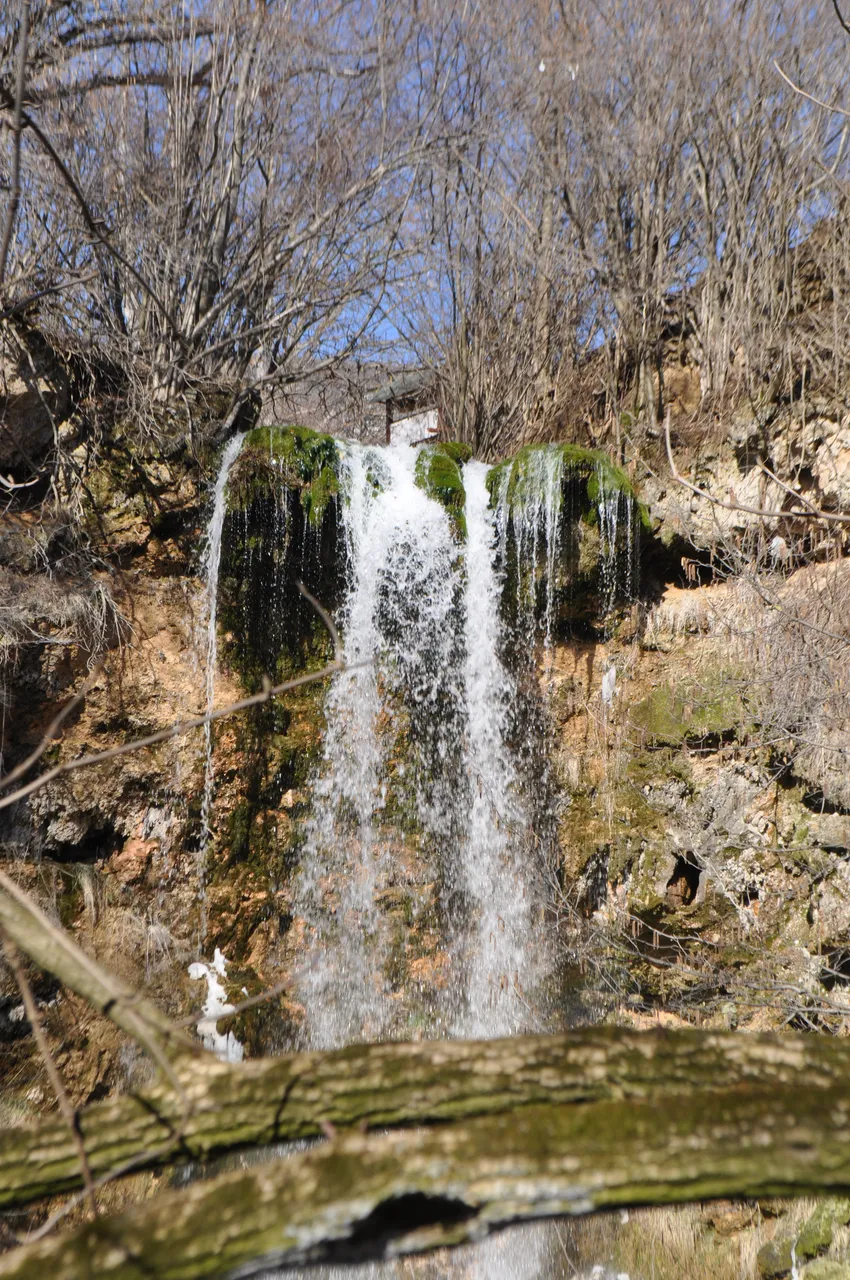 DSC_0185.JPG