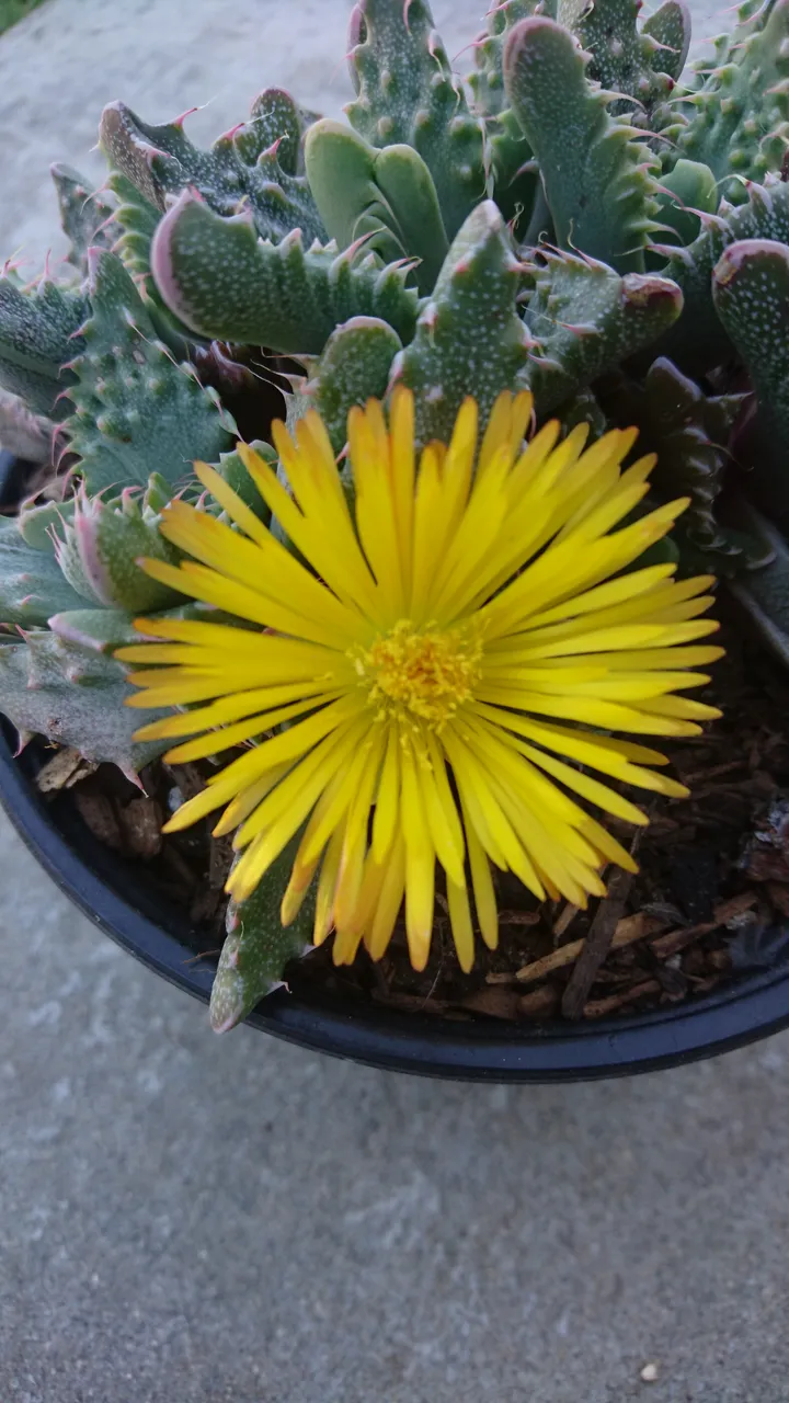 DSC_3956.JPG