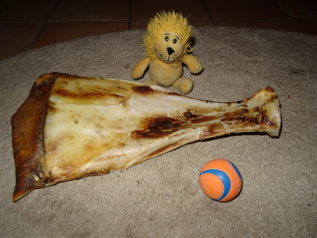 DSC02887.JPG