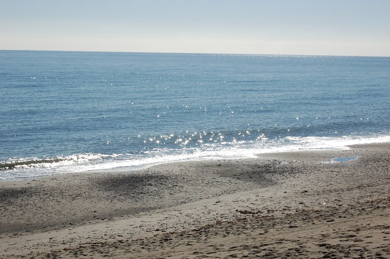 DSC_0603.JPG