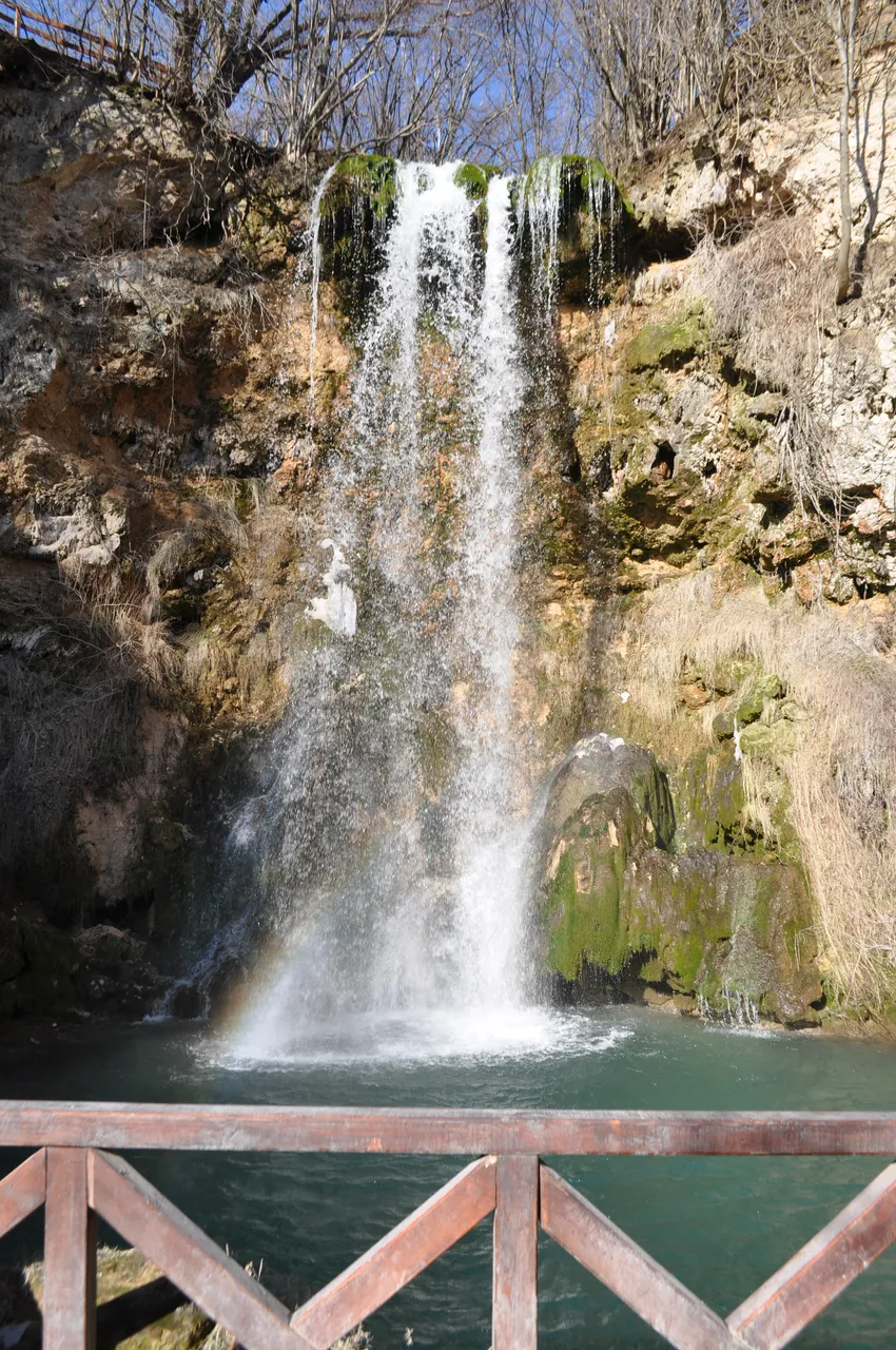 DSC_0196.JPG