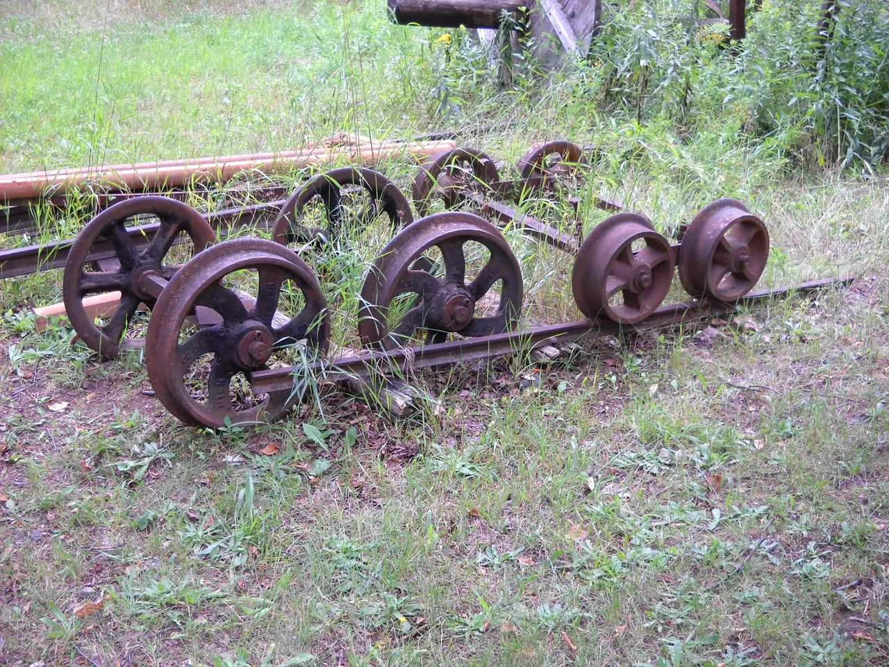 DSCN9598.JPG