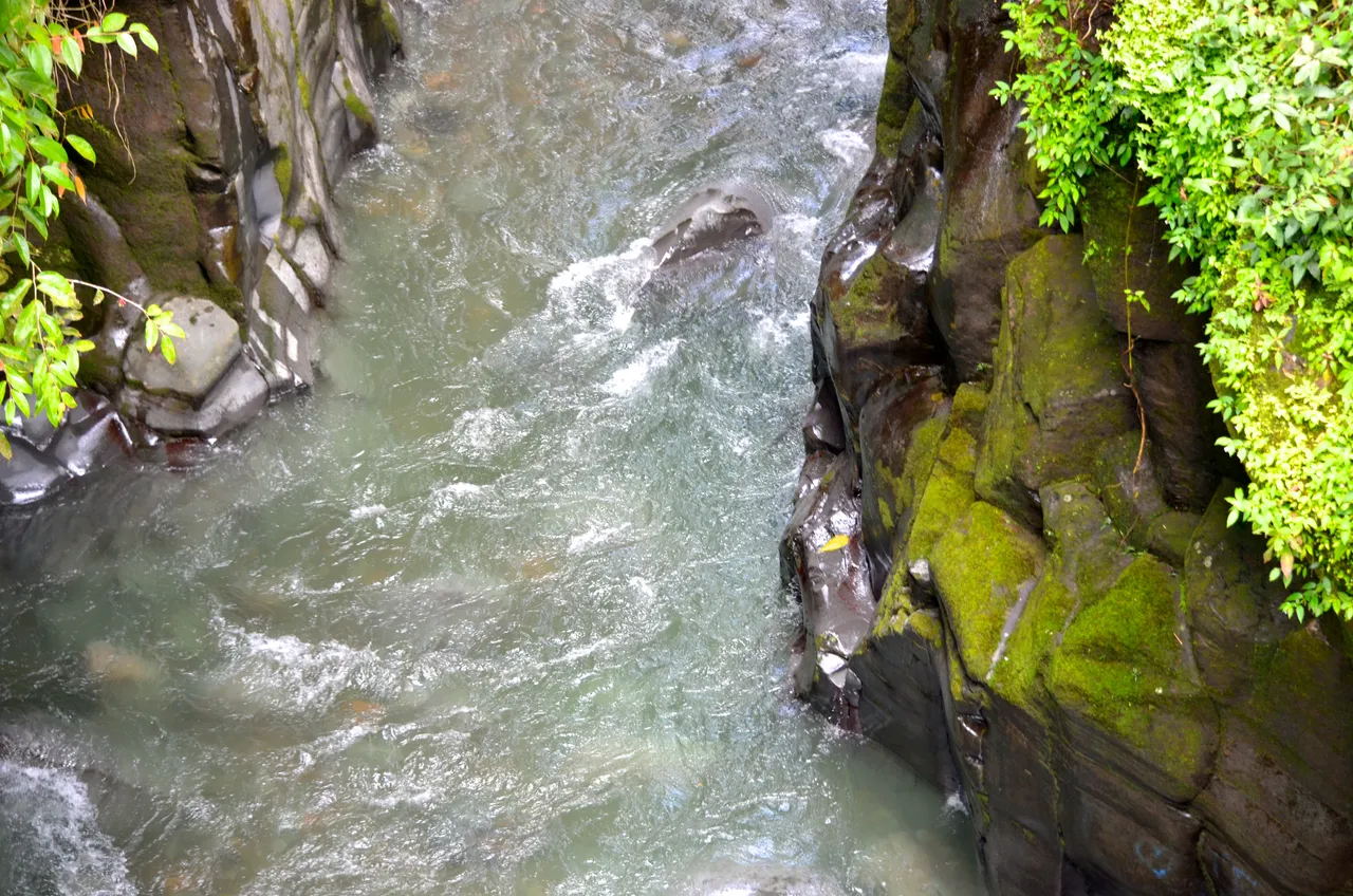 DSC_0238.JPG