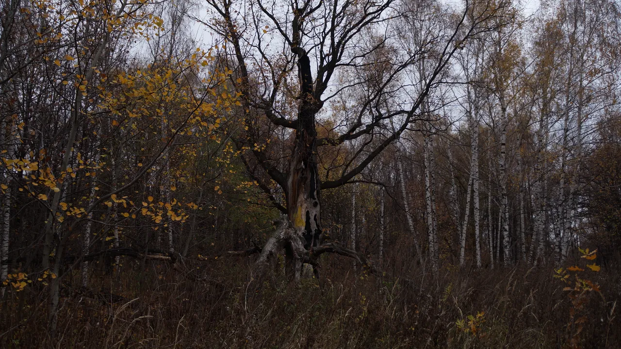 DSC01267.JPG