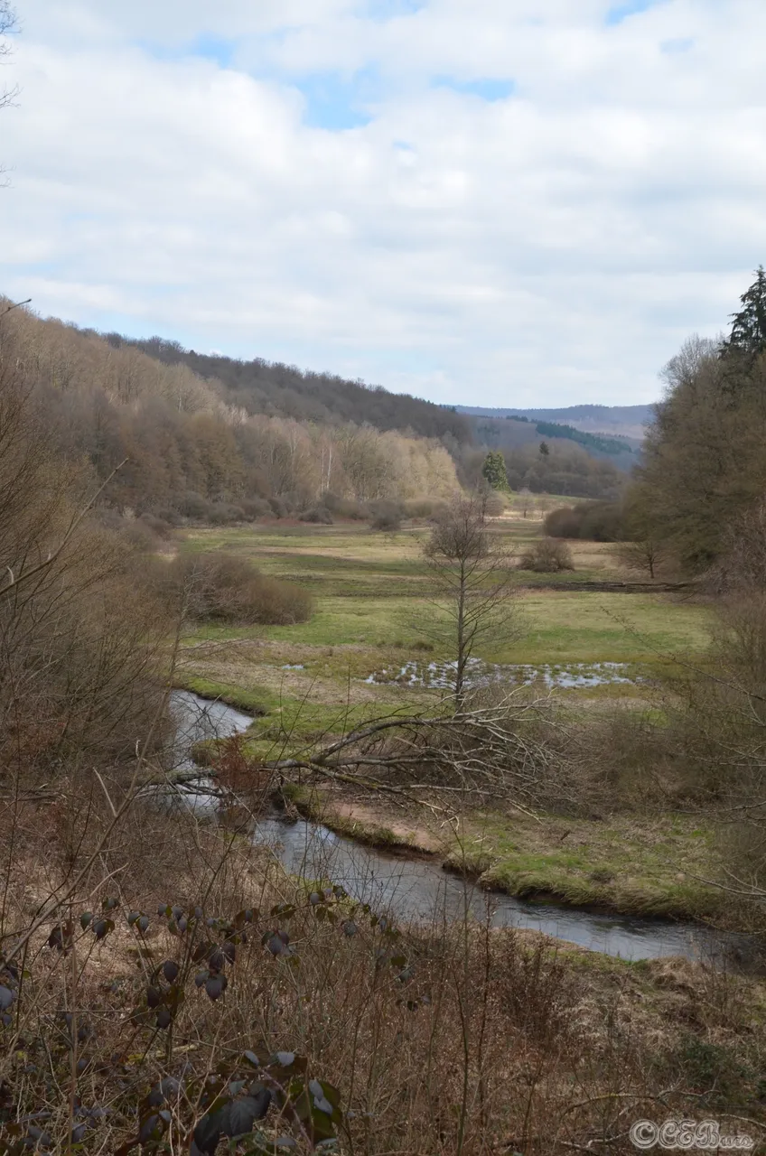 DSC_1287.JPG
