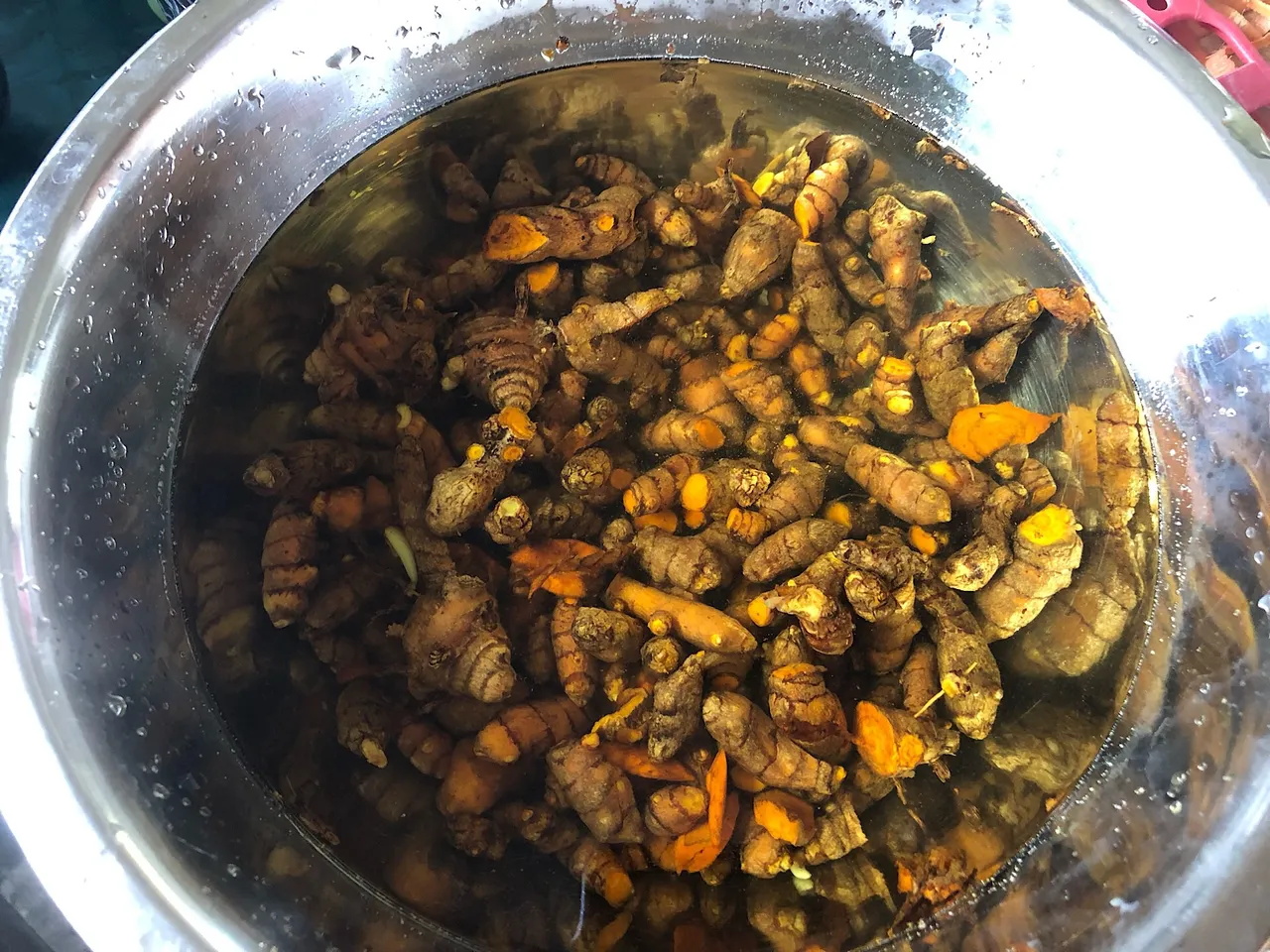 Cleaning Turmeric rhizomes
