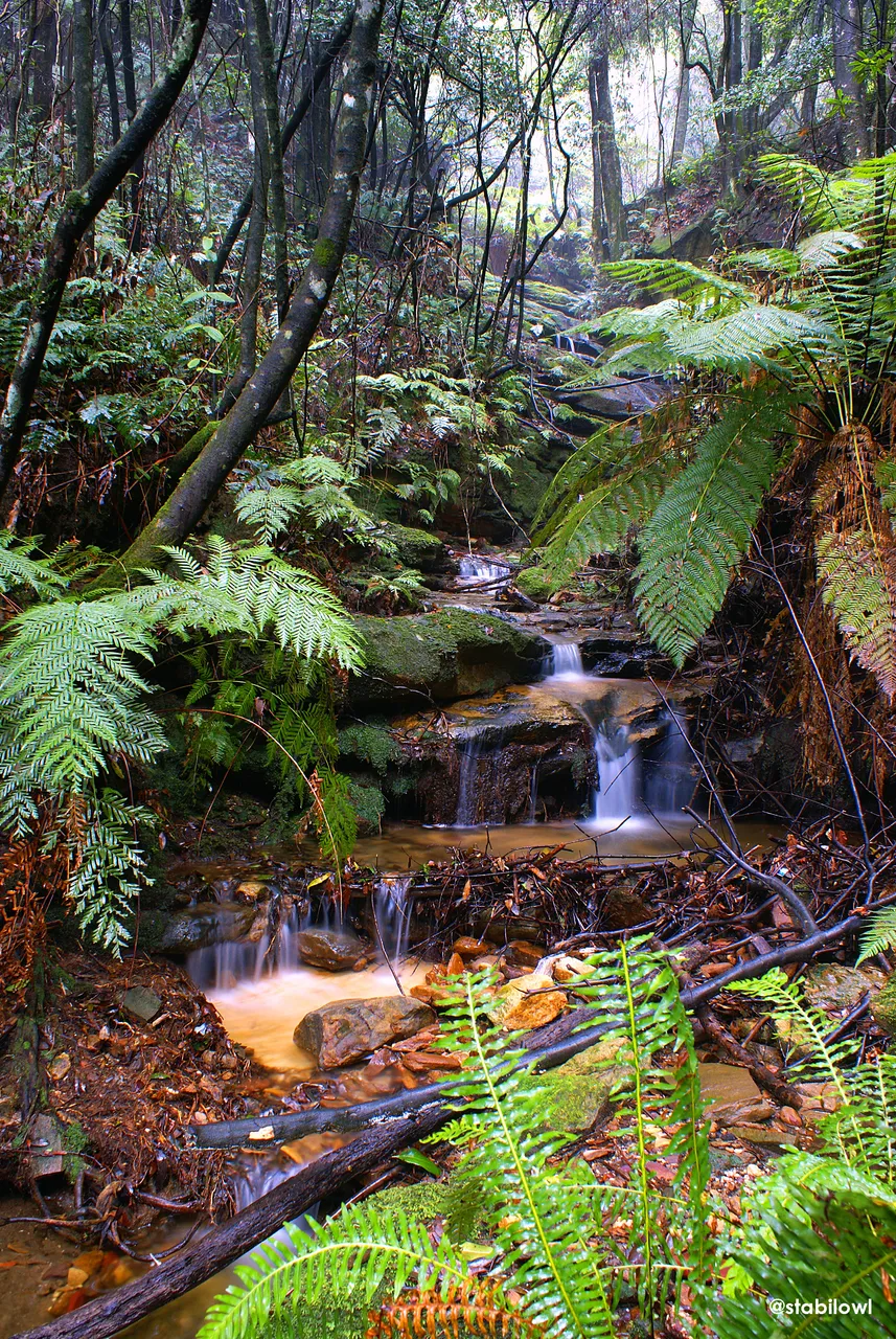 DSC08421.jpg