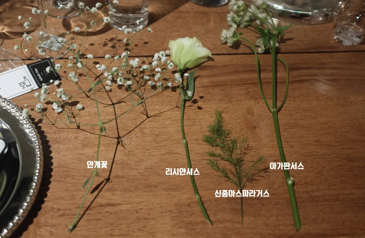 DSCF5937.jpg