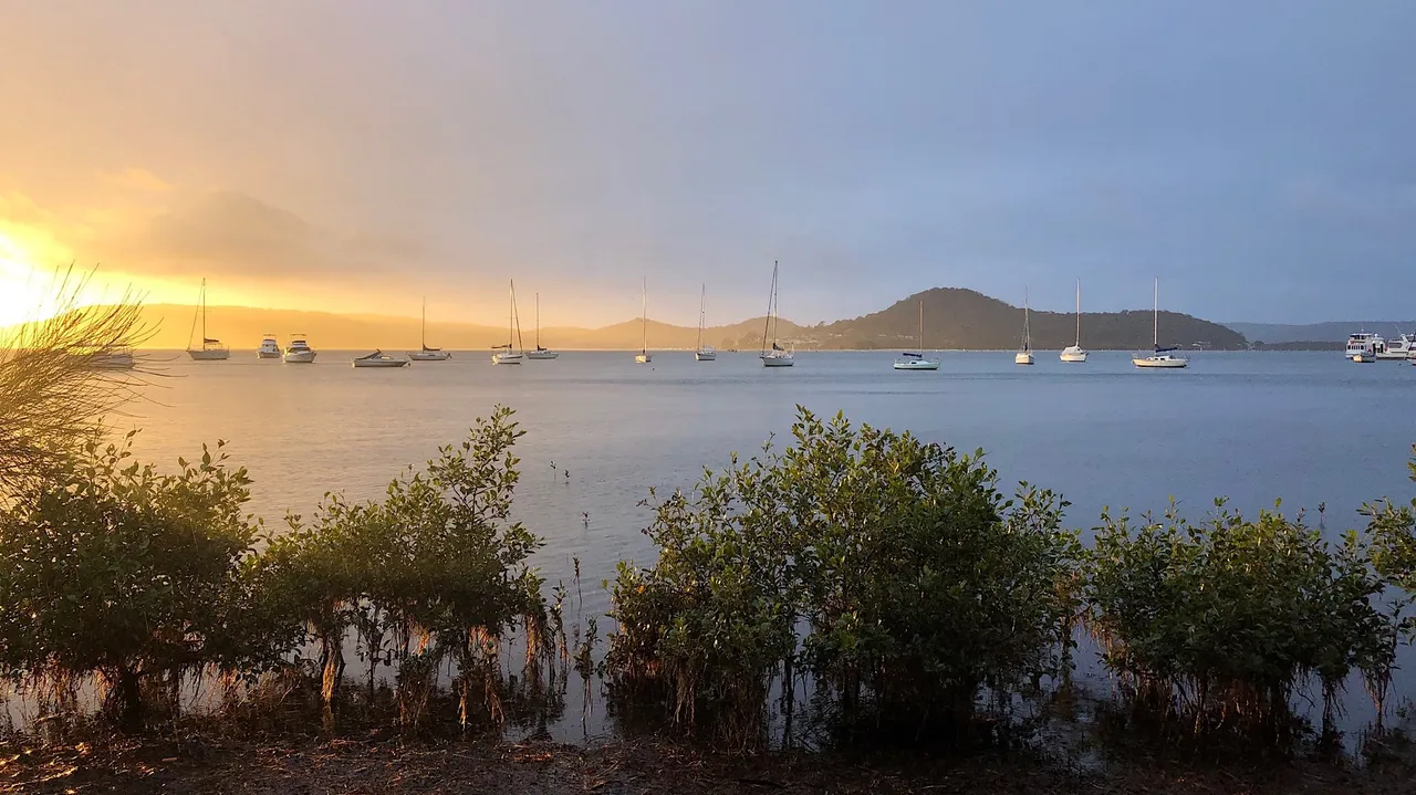 Sunrise, Golden Light, Koolewong