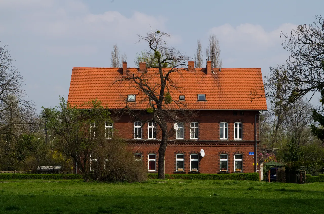IMGP5172.JPG