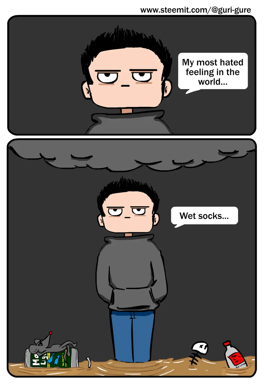 wetSocks.png