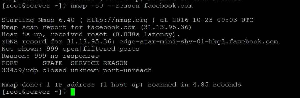 scan-udp.png