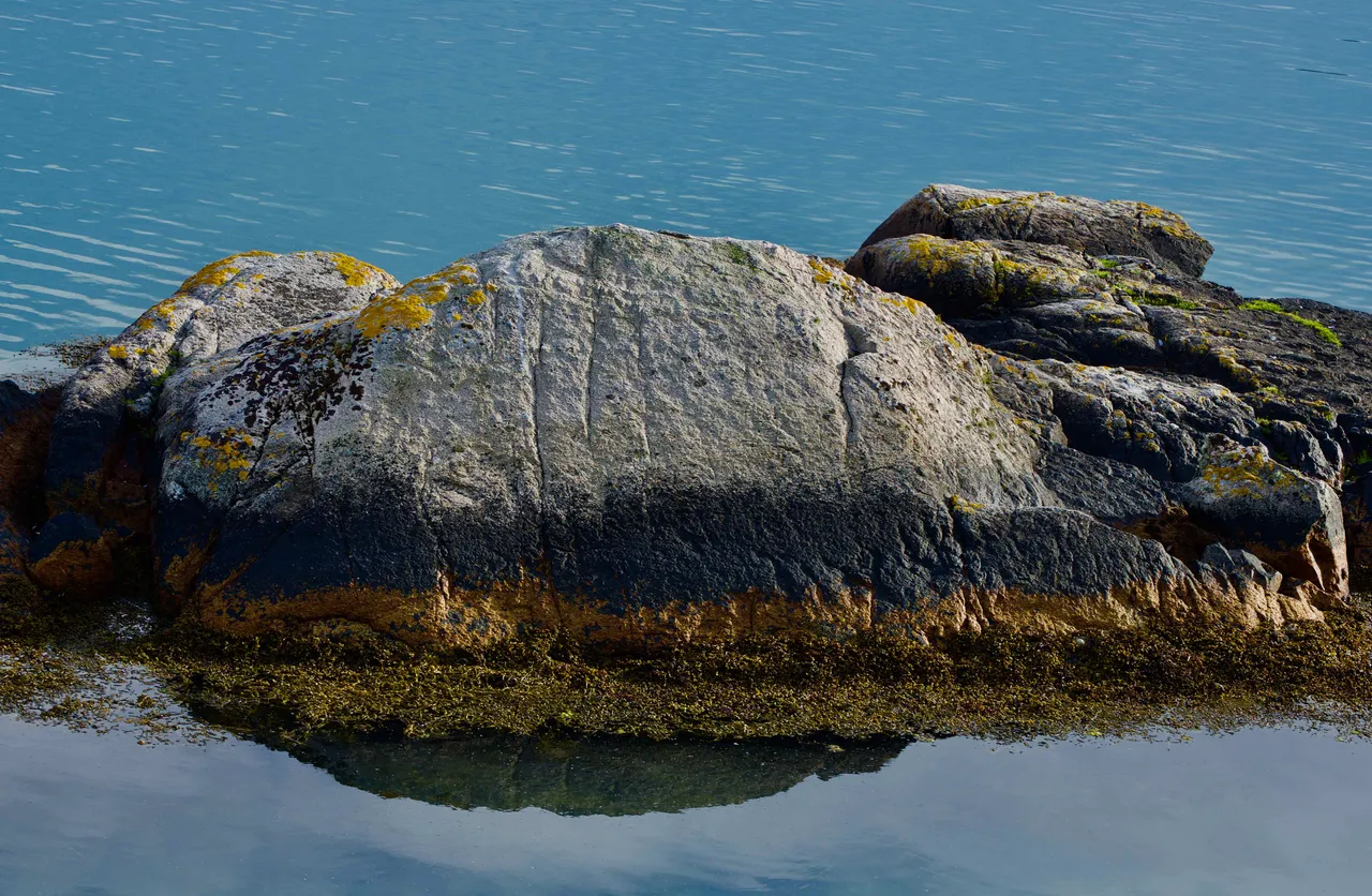 DSC_1477.jpg